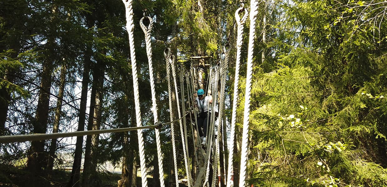 En person klatrer gjennom en tauvei mellom trærne i en skog, sikret med utstyr.