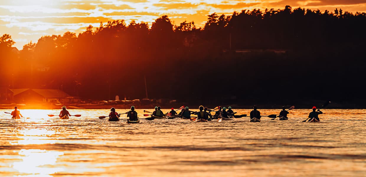 flere kajakker ved siden av hverandre padler i solnedgang