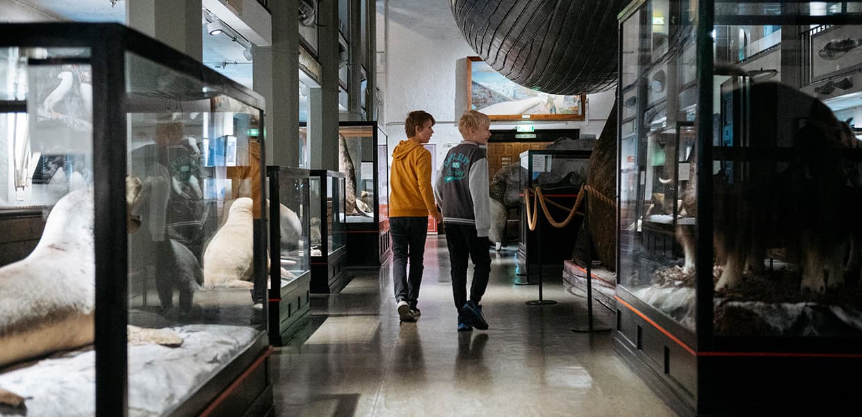 to barn går rundt på museum