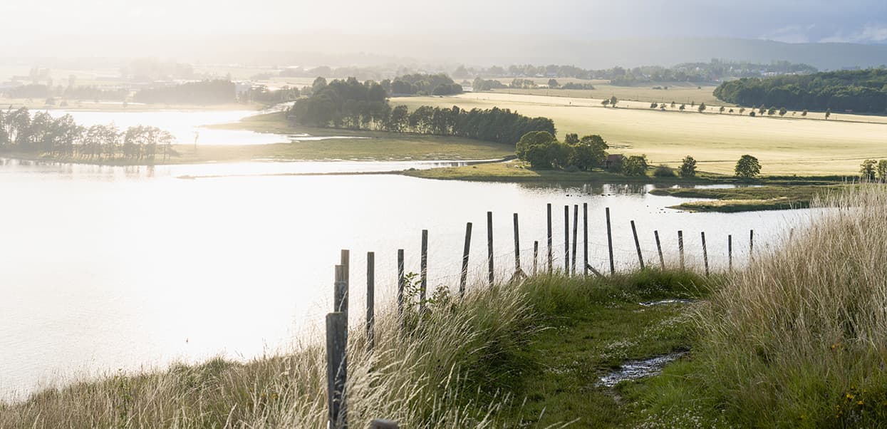 "Utsikt fra toppen av Slottsfjell i Tønsberg med utsikt over et grønne trær og gule åkre i bakgrunnen, en blå innsjø og tåkete himmel på en varm dag. Nærmest deg ser du et gammelt gjerde, høye gresstrå og en sti.