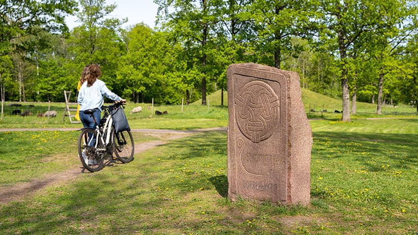 yklist ved historisk runestein på Borrehaugene. Person med sykkel på grusvei ved stor steinbauta med utskjæringer. Frodig grønn park med gravhauger i bakgrunnen
